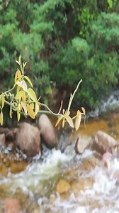 7.9K views · 23 reactions | SOLO Camping Activities Outdoors | Romantic Camping | Facebook