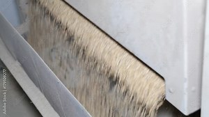 Rice factory. Mechanism for cleaning rice and cereals.