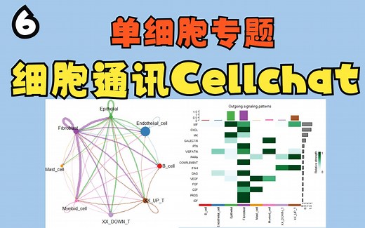 单细胞专题 6 细胞通讯Cellchat