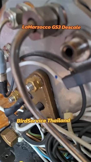 ช่างซ่อมเครื่องชงกาแฟสด, อะไหล่ on Instagram: "LaMarzocco GS3 Coffee Machine Descaling, Overhaul, Repair Service, By Technician Bird Thailand and Team Maintenance Thailand #GS3LaMarzocco #LaMarzoccoGS3 #LaMarzoccoDescaling #CoffeeMachineLaMarzocco #CoffeeMachineRepair . 🤟☕ ร้านซ่อมเครื่องกาแฟ CoffeeMachineMaintenance Thailand , Descale, Overhaul, Repair, Service & Training & Spare Parts ทั่วไทย บริการซ่อมนอกพื้นที่, ซ่อมด่วน , ซ่อมที่ร้าน 📌 CoffeeMachineEngineer 📌 ช่างเบิร์ดซ่อมเครื่องกาแฟ 📌