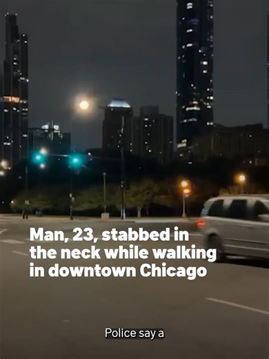 A man was stabbed in the neck while walking near Grant Park in Chicago Thursday night, police said, with officials working to investigate after the suspect fled the scene. About 11:37 p.m., a 23-year-old man and a 27-year-old woman were walking in the 500 block of South Columbus Drive in the Loop when an unknown man approached them and a verbal altercation took place. #grantpark #stabbing #crime #chicago