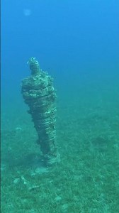 Sinai Underwater Diving 🐠 Red Sea Coral Reef #Shorts