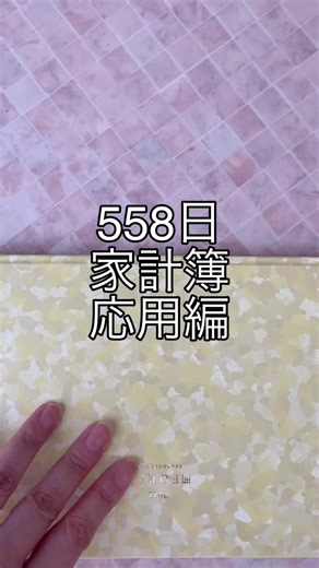 キャッシュレスさんのための家計簿支払い方法が近年複雑になり、家計管理が難しくなったと感じた事はありませんか？簡単にできるキャッシュレス派さんのための家計簿です。￼ #フォース手帳