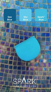 We’re loving sparkles, sunshine, and all the shades of blue this summer! 🌃 Sky Blue 🌊 Sea Blue 💙 Spark™ Clear Aligner Blue Just to name a few. 😉 Drop a comment 👇 with the emoji that best describes your favorite color. #SparkAligners #BlueEverything #MyTrueSmile #MySparkJourney | Spark Aligners