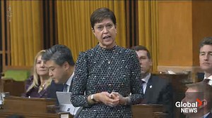 Liberals address questions over terminated defence contract with Chinese links