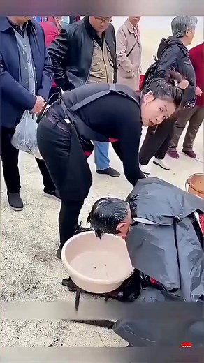 28K views · 133 reactions | Plant Hair Dye Revolution】 French...