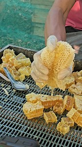 Fresh honey starts to drip out. | Phary BeeKeeper
