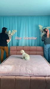 60 second makeover 💘 Blue Valentine bedroom was a chaotic process but I honestly love how it turned out!! One more bedroom to go looking back at our 2025 🥹 Home @sweethearthideaway Cupid wallpaper @spoonflower Bed @eternitymodernhome Cherubs and vanity @facebook marketplace Bedspread @ebay Rose lamp side tables @etsy Curtain hardware @homedepot Curtains and heart mirror @amazon | A Pretty Cool Hotel Tour