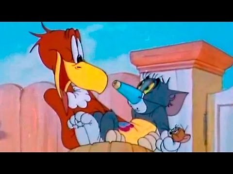 Tom and Jerry - Flirty Birdy - Episode 21 - Tom and Jerry Cartoon ► iUKeiTv™