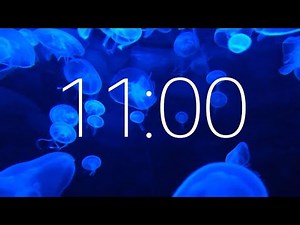 11 Minute Timer with Ambient Music and Jellifish