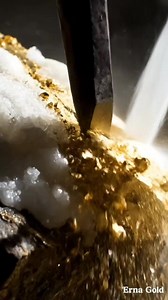In Montana, gold-bearing quartz veins often occur near granite intrusions, where a single cabinet-sized specimen can command a $22,000 price from investors. This mineralization happened as boiling fluids crystallized in faults, leaving behind the rich lodes that define the American West's geology. #MontanaGold #GoldOre #Geology #MiningWealth | Erna Mulyani