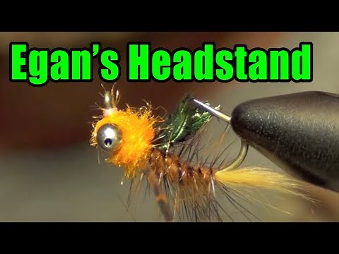 Egan's Headstand Carp Fly Tying Instructions - Great For Spooky Carp - Lance Egan Fly Pattern
