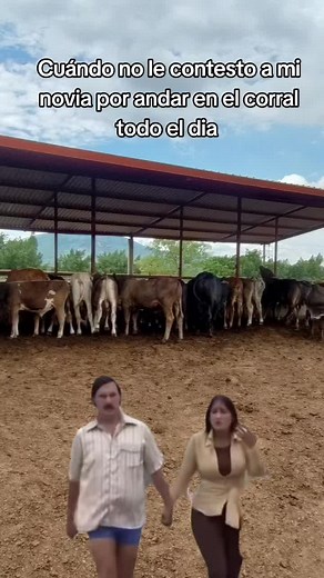 Momentos divertidos en el corral de ganado
