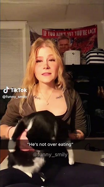 Funny Cats: Hilarious Stories of Unexpected Returns