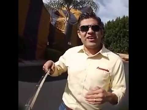 What To Do If Termites Swarm Your Home