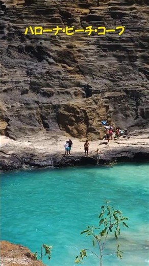 ハローナ・ビーチ・コーブ 🌺 ハワイ、いま目の前に広がります！