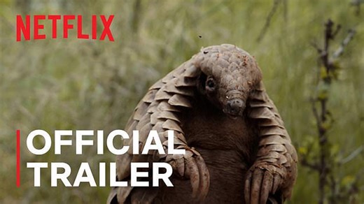 Pangolin: Kulu's Journey Trailer (2025)