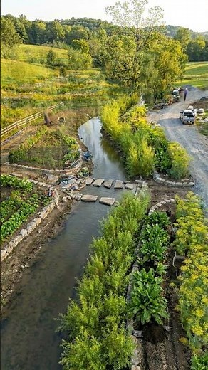 Stream Garden Riverbank Horseradish