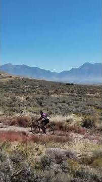 The Only Bike You Need? Specialized Crux as a Road & Gravel Bike #gravelcycling #crux #specialized