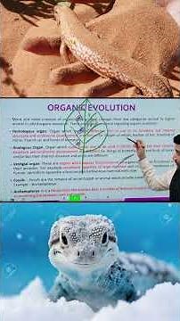 How Life Evolved on Earth 🌍 | Organic Evolution Explained #science #super20ias #upsc #punjabpcs #ias