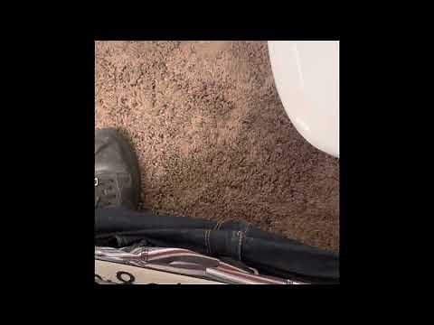 More poop noises and diarrhea sounds!