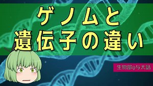 【ゆっくり解説】遺伝子とゲノムの違いとは？