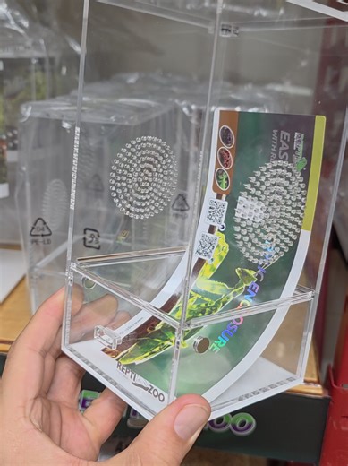 acrylic enclosures for all arachnid lovers , available at all reptile factory locations. #orangecounty #losangeles #riverside #victoville #reptiles