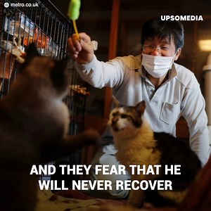 393K views · 10K reactions | After the nuclear disaster, Fukushima became a ghost town, but instead of saving his life, Sakae Kato decided to drop everything to take care of the abandoned cats there. Ten years later, he would leave the world speechless. | Meow Meow | Facebook