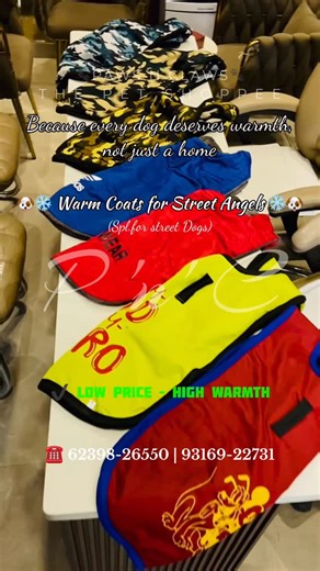 𝓟𝓪𝔀𝓼 '𝓷' 𝓒𝓵𝓪𝔀𝓼🐾-𝐓𝐡𝐞 𝐏𝐞𝐭 𝐒𝐡𝐨𝐩𝐩𝐞𝐞 on Instagram: "Cheap prices dog coats available • 🧥 Affordable Winter Dog Coats ✔ Specially designed for street & rescue dogs ✔ Low price – High warmth ✔ Perfect for NGOs, feeders & animal lovers 📍 Available at @pawsnclawsthepet #StreetDogs #WinterForStreetDogs #DogCoats #AffordableDogClothes #RescueDogs StreetDogsNeedUs WinterIsCruel SaveStreetDogs WarmthForThem DogWinterCare RescueDogsIndia AnimalHumanity KindnessMatters PawsNClaws"
