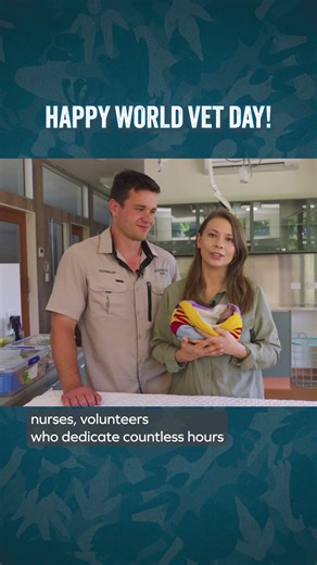 Bindi Irwin & Chandler celebrate our own amazing team of vets, and all vets around the world 🐨❤️
