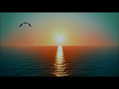 Knightscove Entertainment Corporation (Blizzard)