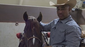 "HANGING WITH MATT" ~ I've got a difficult decision to make on what horse I will show at The American Rodeo. The better my horses get the more difficult the decisions have become! | Matt Mills Reining