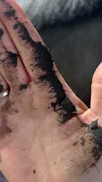 Dirty horse? Here's how to get them clean withOUT washing!