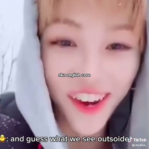 Stray Kids Core Dance Compilation