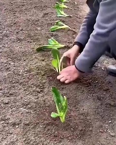 18 reactions | Táto zľava nebude trvať večne Vyskúšajte to, kým je to so zľavou Kliknite na tlačidlo nižšie | Vigoshop.sk | Facebook