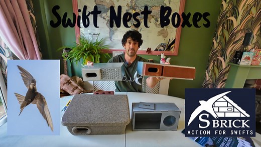 I’m unboxing some of the best Swift nest boxes on the market. Here I’m talking about two types of swift brick, a soffit box and a standard wall mounted swift box. Recently Swift were added to the red list making them the highest conservation priority, the British population declined by 66% between 1995 and 2015. We can help keep the skies alive by proving a home for these masters of the sky. Any questions please leave a comment. Links. Swift brick https://www.actionforswifts.com/galvanised-steel