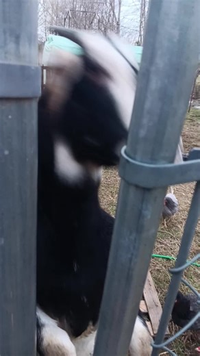 RobinL (@rlynnwillis)’s videos with original sound - RobinL