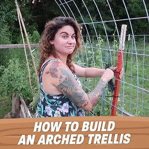 This Garden Arch is a Game-Changer! | Roots and Refuge Farm