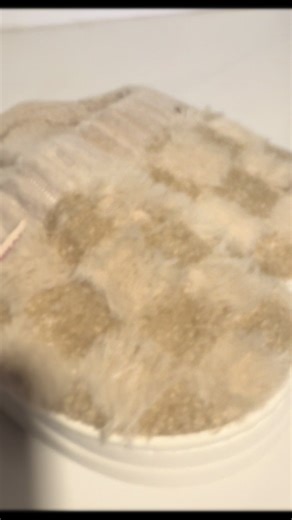 Soft and Comfy House Shoes at a Coffee Price