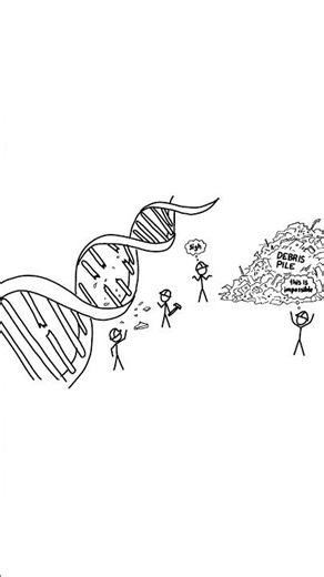 Whatif you stuck your hand in a Large Hadron Collider? #animation #xkcd #science