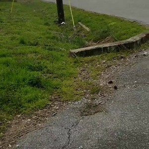 1.3M views · 24K reactions | Leaving work on Friday like... @hotrodhuffines | RacingFX | Facebook