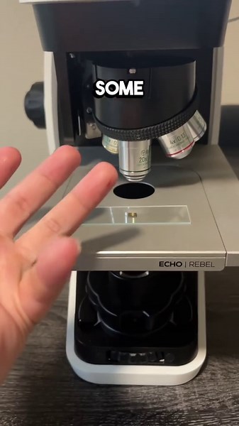 CPU Under Microscope