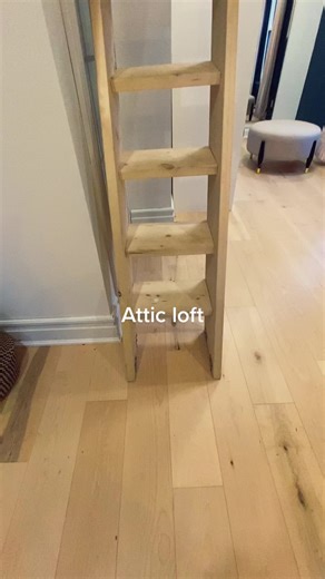 Unique Attic Loft Renovation in Kitchener