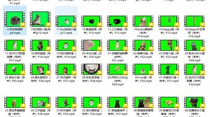 《猫猫meme动态绿幕合集包》UP主必备！热门绿幕视频素材，180套含背景图BGM，含使用教程