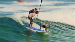 Party wave... | Explore Magazine