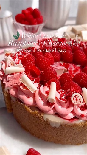 White Chocolate Raspberry Cheesecake🍇 COMMENT ‘CHEESECAKE’ and I’ll DM you the recipe link! Follow @thelittleblogofvegan for the best vegan recipes! No-Bake, Vegan White Chocolate Raspberry Cheesecake: Buttery biscuit base, a white chocolate cheesecake filling with swirls of homemade raspberry compote topped with silky whipped cream & more raspberries 🎅🏻🎄Perfect for Christmas dessert! No-Bake, No-Egg, No-Dairy & easily made gluten-free! Enjoy friends❤️ ———> Get the recipe on my website: thel