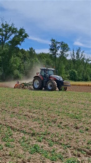 Der schöne Steyr bei der Feldarbeit. 🔥🚜#Landwirtschaft #spotting #Steyr #Schlepper #Grubber