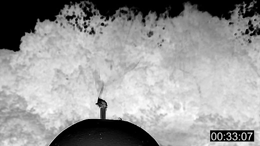 100K views · 2.2K reactions | Spiders don't just use their silk threads to build webs: https://fcld.ly/uyul0d8 | Science | Facebook