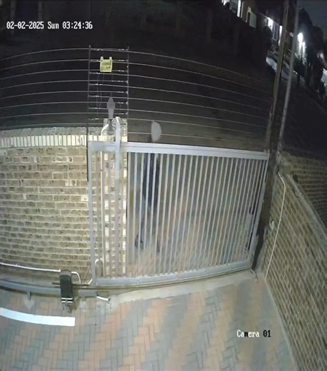 SCP SECURITY on Instagram: "⚠️02/02/2025⚠️ At Erasmia, Pretoria; Gauteng.📍 Attempted house invasion Source: X - @Abramjee #CrimeWatch"