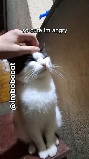 so cute im gonna explode